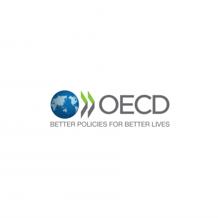 OECD Forum on Due Diligence in the Garment and Footwear Sector Side Session